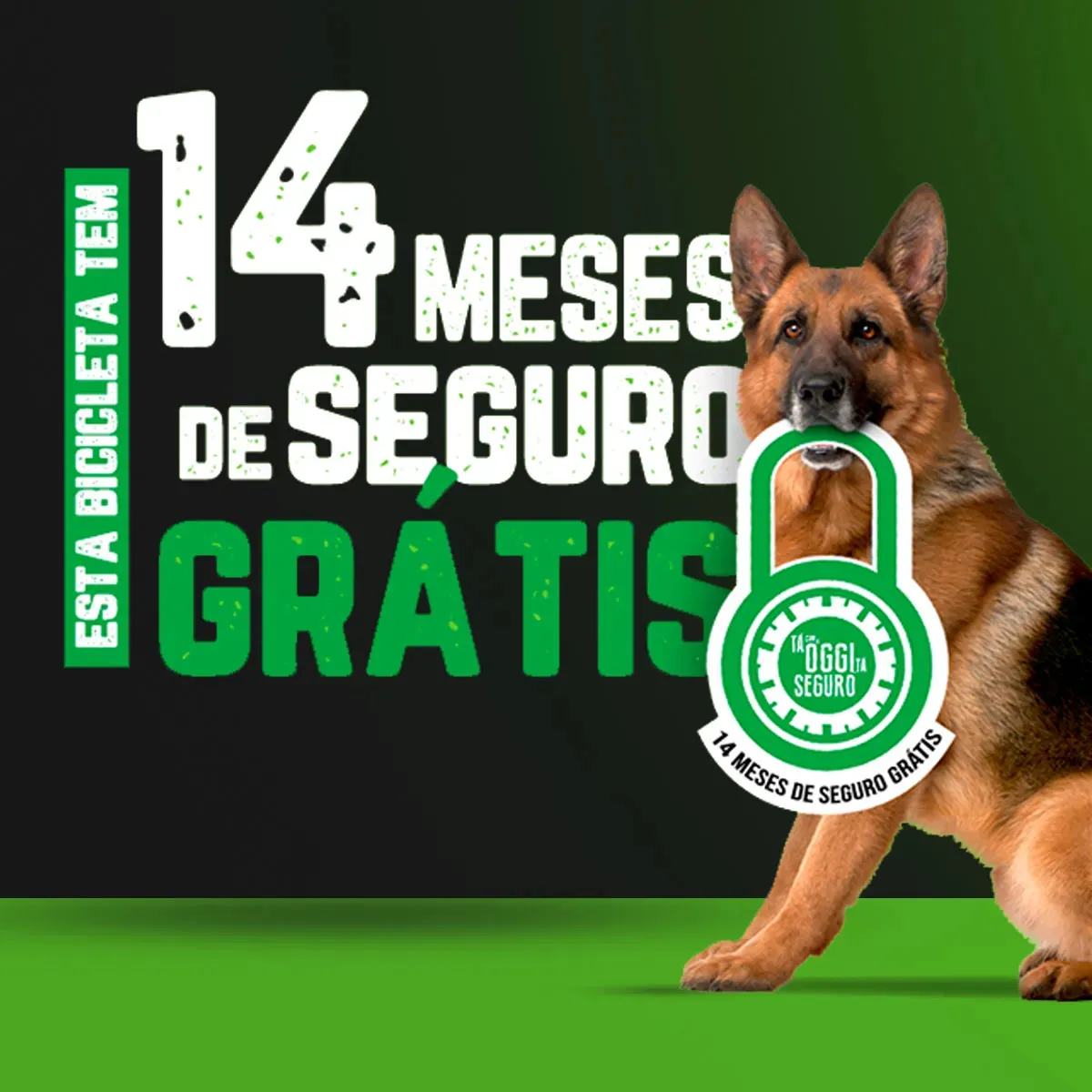 Suspensão RockShox Pyslo Gold RC 160mm da Oggi Razzo Cues T-130 — detalhe do garfo dianteiro